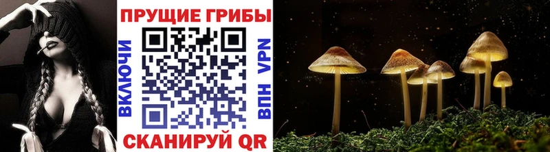 Галлюциногенные грибы Magic Shrooms  кракен онион  Цивильск 